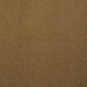 Cameleer Swatch Thumbnail