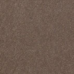 Longhorn Zoomed Swatch
