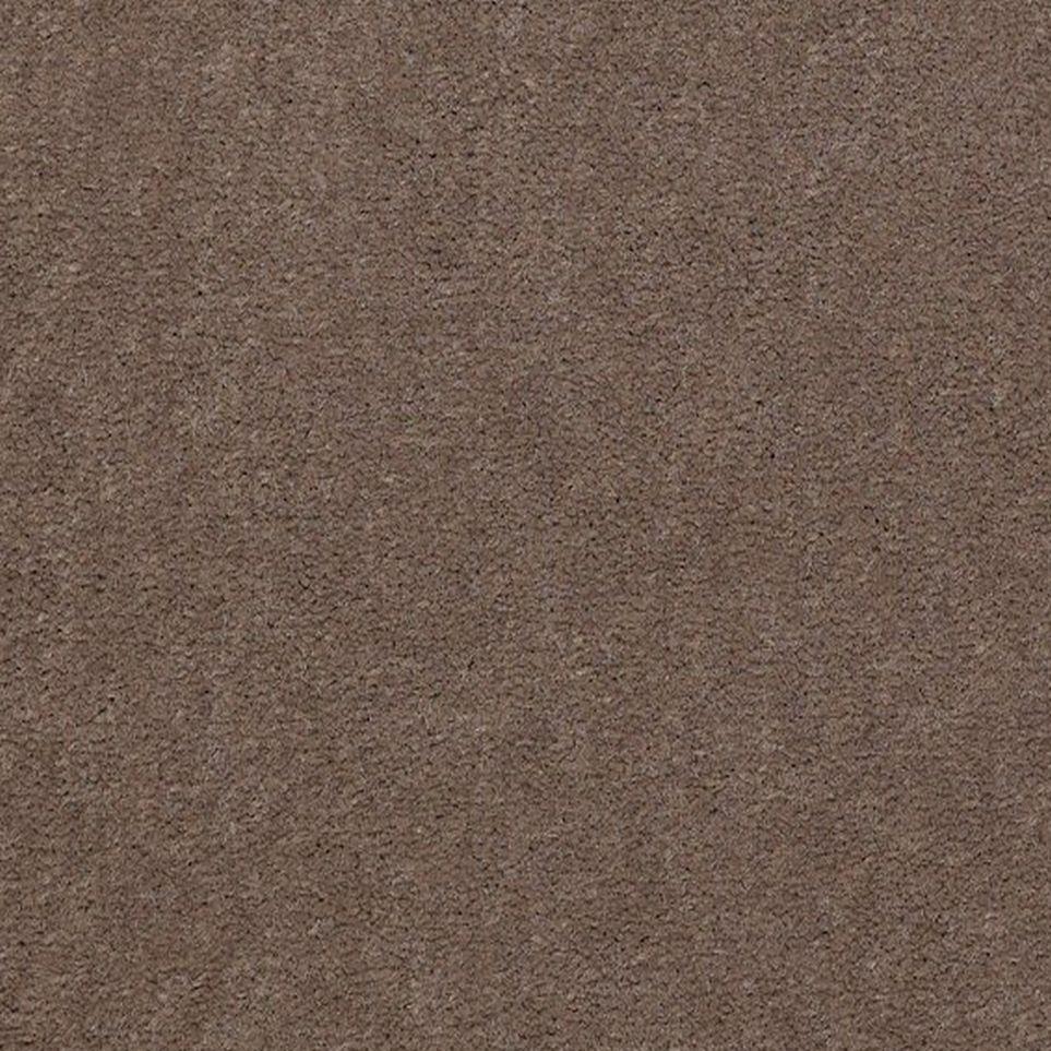 Longhorn Zoomed Swatch