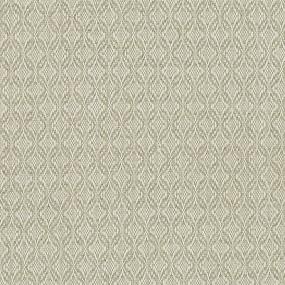 Star Time - Khaki Swatch