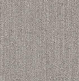 Forever Yours - Silver Dollar Swatch