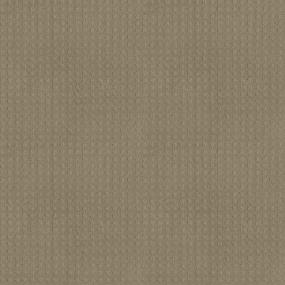 Alluring Disposition - Safari Swatch