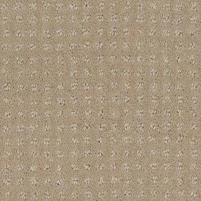 Alluring Disposition - Safari Swatch