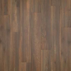 Miramar Coast - PUL40 - Coconut Oak Swatch