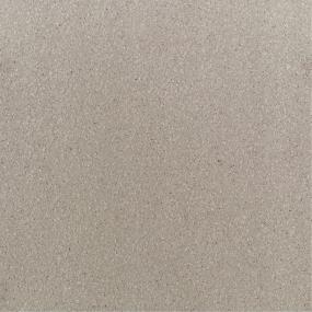 Quarry Textures Square 8X8 Mt Grp2 - Ashen Gray Matte Swatch