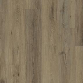 Savy Statement - Nutmeg Swatch