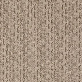 Sable Zoomed Swatch