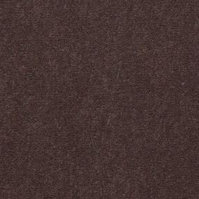 Luggage Zoomed Swatch