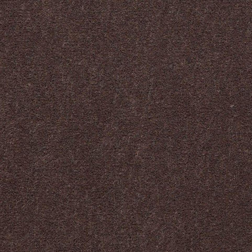 Luggage Zoomed Swatch