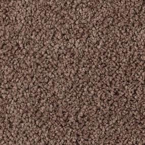 Soft Eloquence - Lyrical Swatch