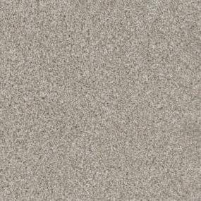Trendsetter I - Acadia Swatch