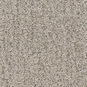 Sea Otter Zoomed Swatch