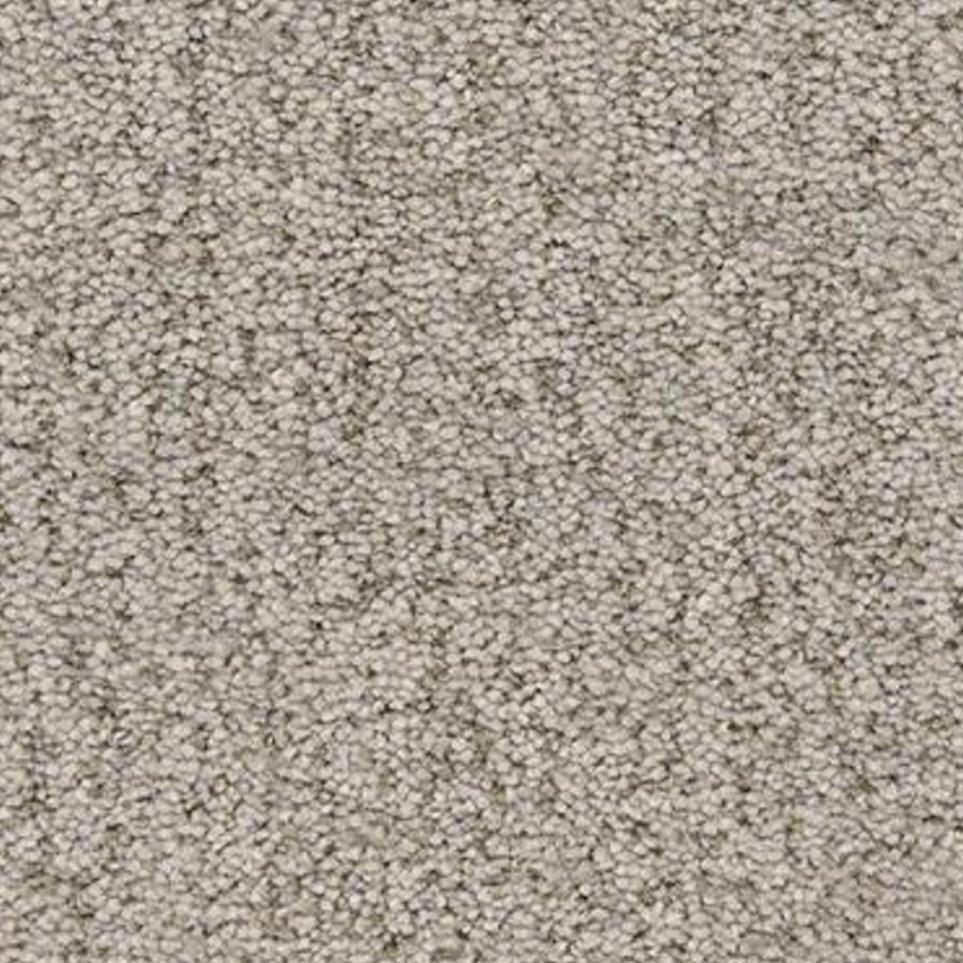 Sea Otter Zoomed Swatch