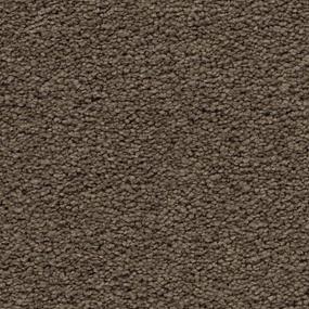Eagle Rock Zoomed Swatch