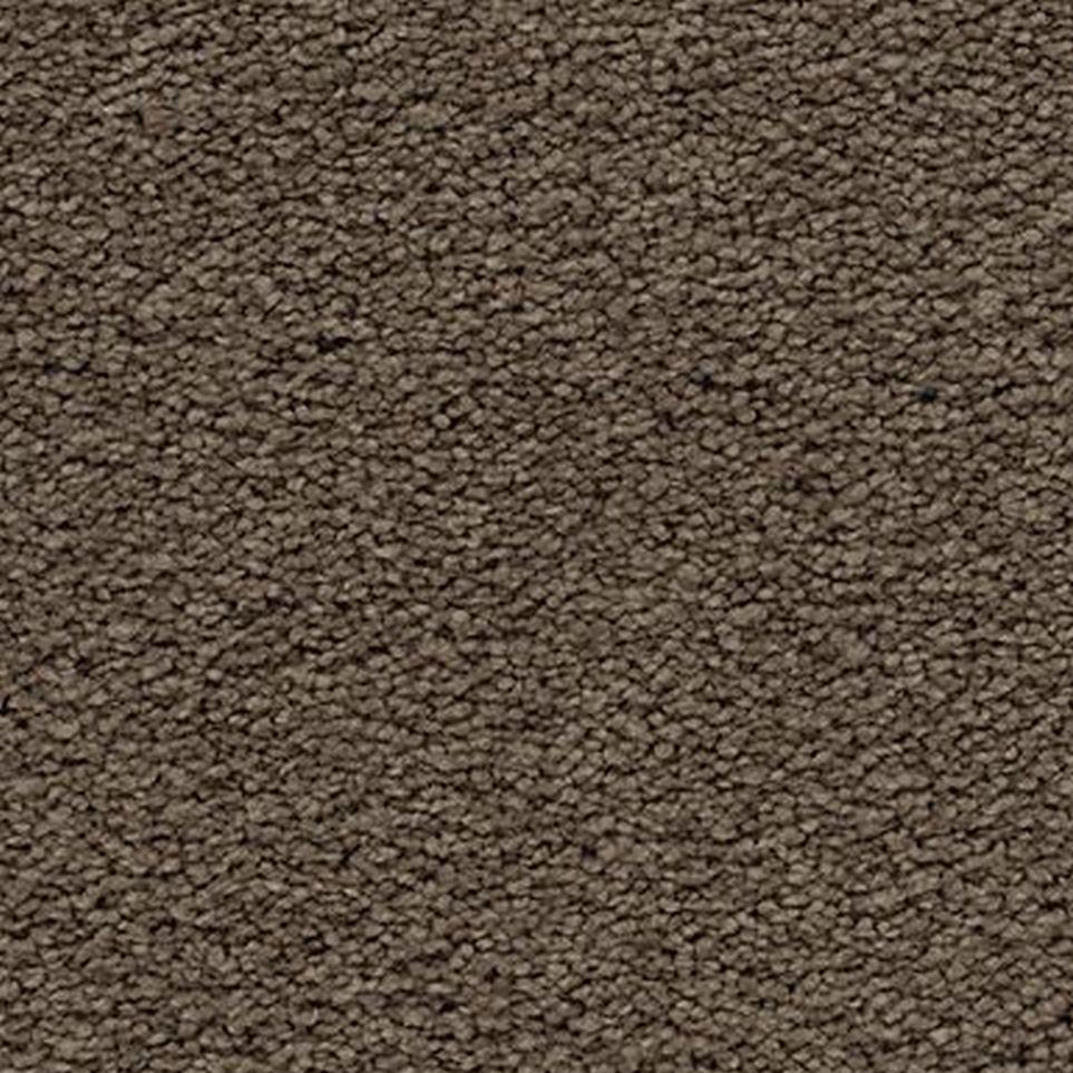 Eagle Rock Zoomed Swatch