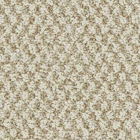 Desert Sand Zoomed Swatch