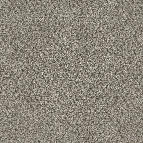 Top Choice Zoomed Swatch