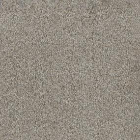 Trendsetter II - Iron Frost Swatch