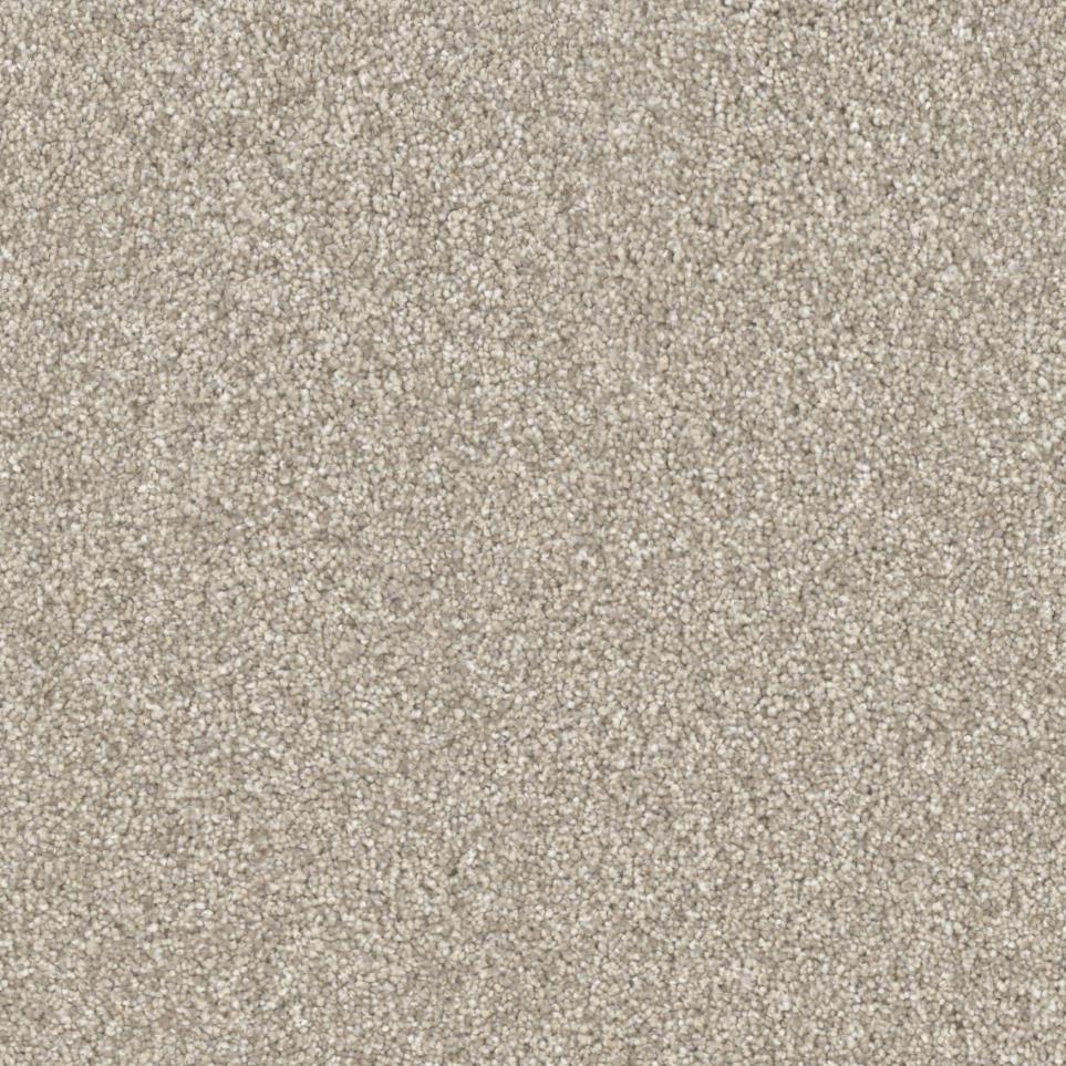 Seashell Zoomed Swatch