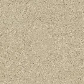 Nutra Zoomed Swatch