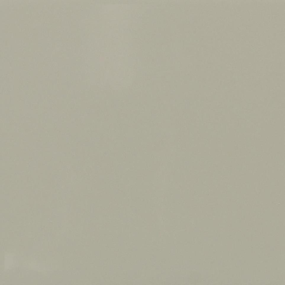 Matte Architectural Gray Matte Swatch