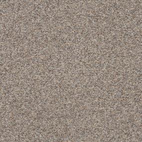 Stop & Stare II - Wooded Path Swatch