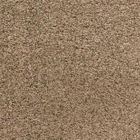 Walking Trail Zoomed Swatch
