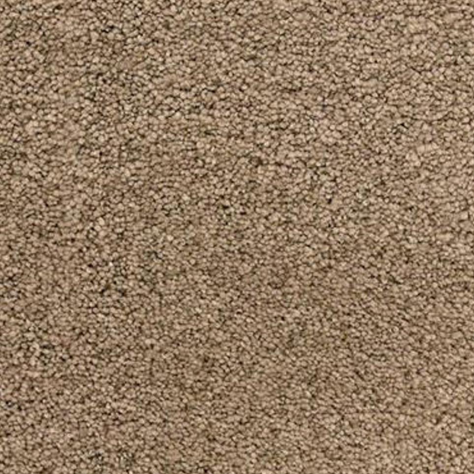 Walking Trail Zoomed Swatch