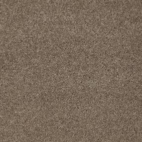 Simply Taupe Swatch Thumbnail