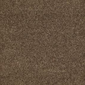 Vicuna Swatch Thumbnail