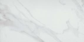 Serendra Rectified Polished 12X24