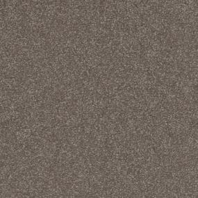 Dry Twig Zoomed Swatch