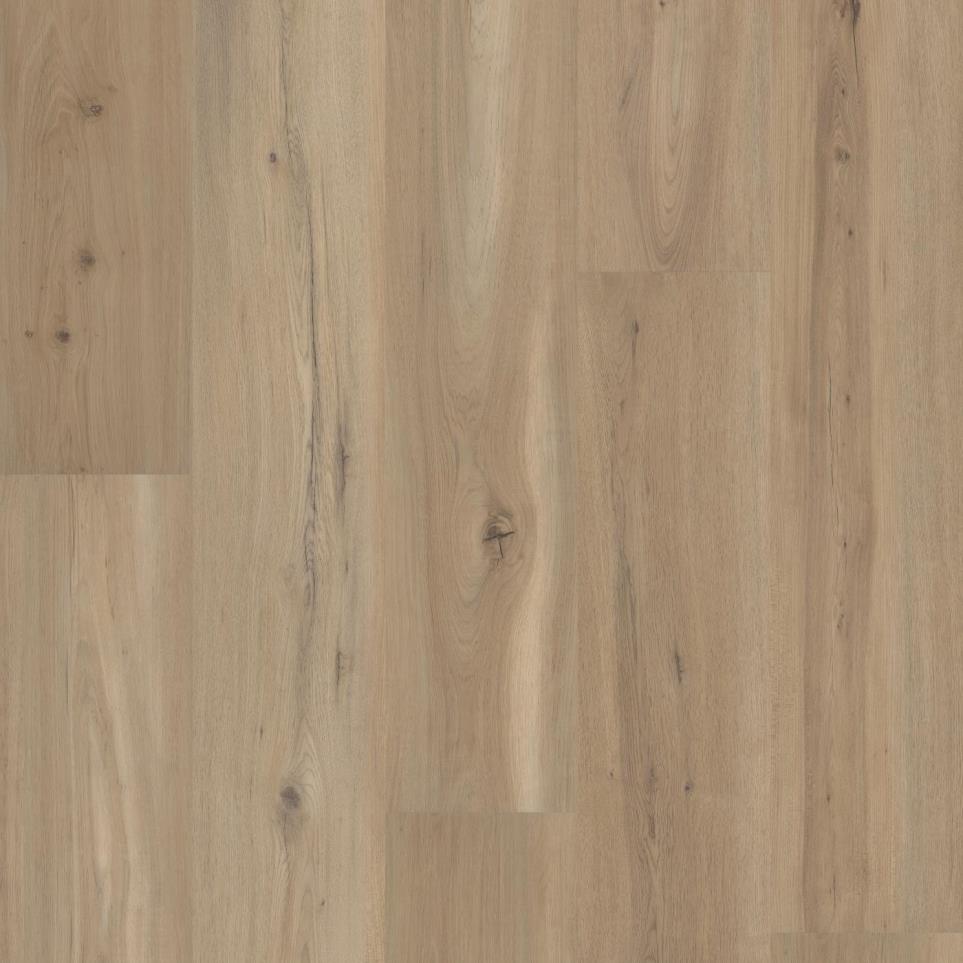 Coretec Originals Premium Vv810