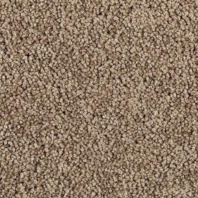 Delightful Intent - Urban Jungle Swatch