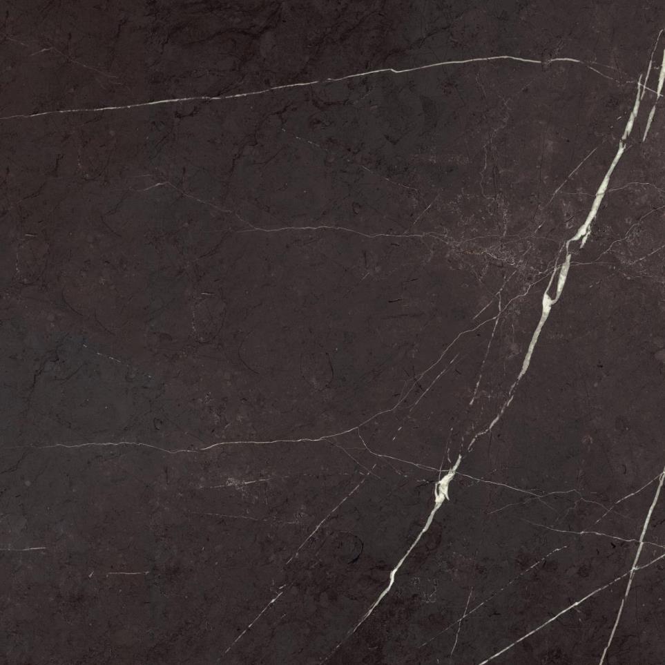 Marble Attache Square 32X32 MT by Daltile - Nero Matte