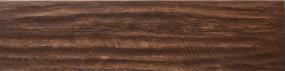 American Estates Plank 8X48 MT - Spice Matte Swatch