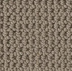 Arden Park - Taupe Gray Swatch