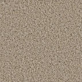Cosmopolitan II - Mocha Swatch