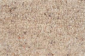 Sherpa - Natural Swatch