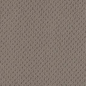 Carlsbad Canyon Zoomed Swatch