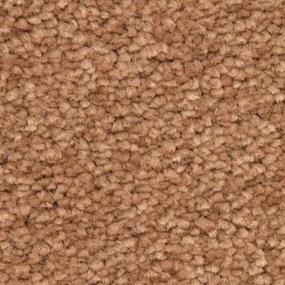 Salmon Zoomed Swatch