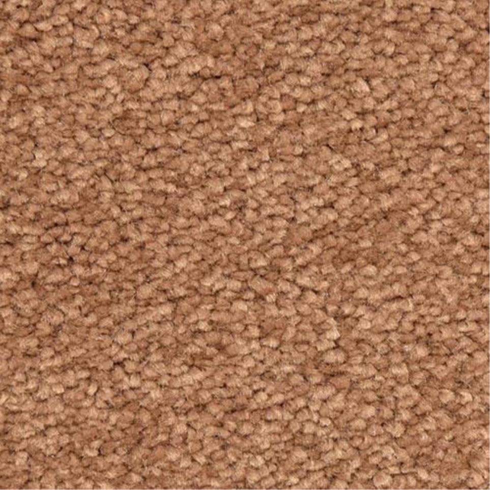 Salmon Swatch