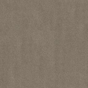 Exotic Paradise II - Cracker Jack Swatch