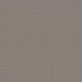 Cool Harbor II - Pier Swatch