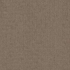 Chamois Zoomed Swatch