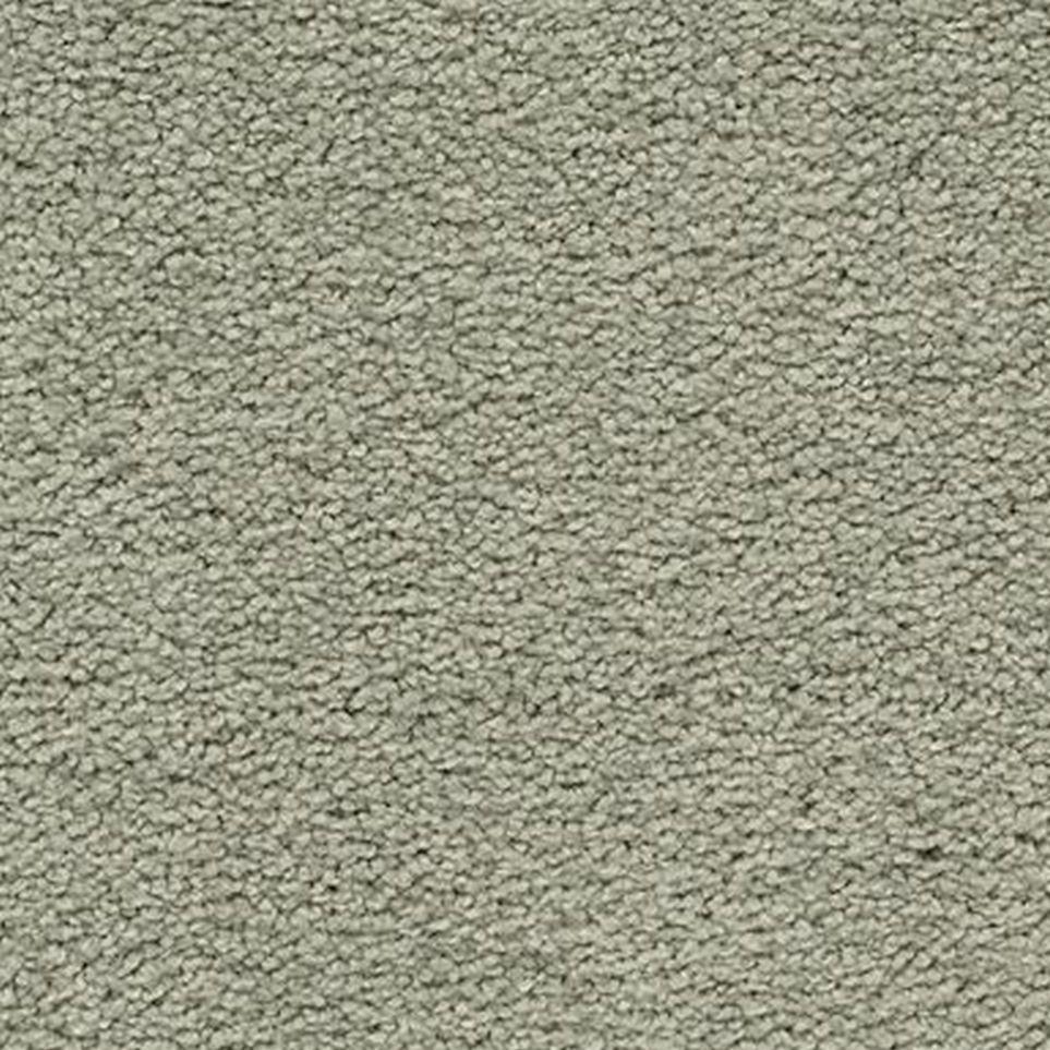 Sage Brush Zoomed Swatch