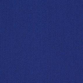 Color Array II BL - Lapis Swatch