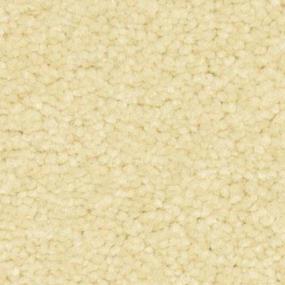 Crema Zoomed Swatch