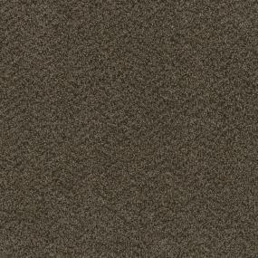 Sweepstakes - Rustic Charm Swatch