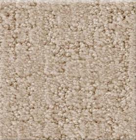 Shadow Colossal - Drifter Swatch